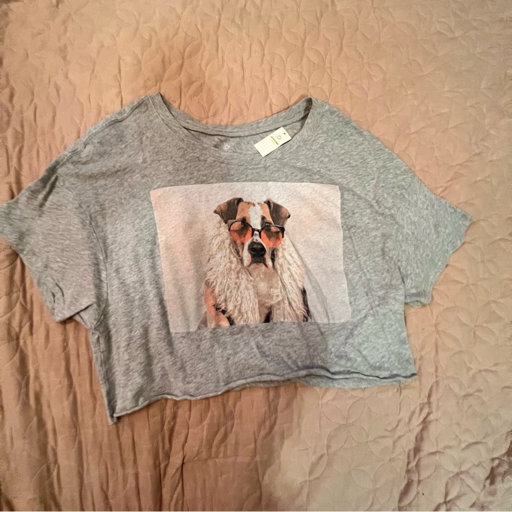 Aerie offline dog crop top